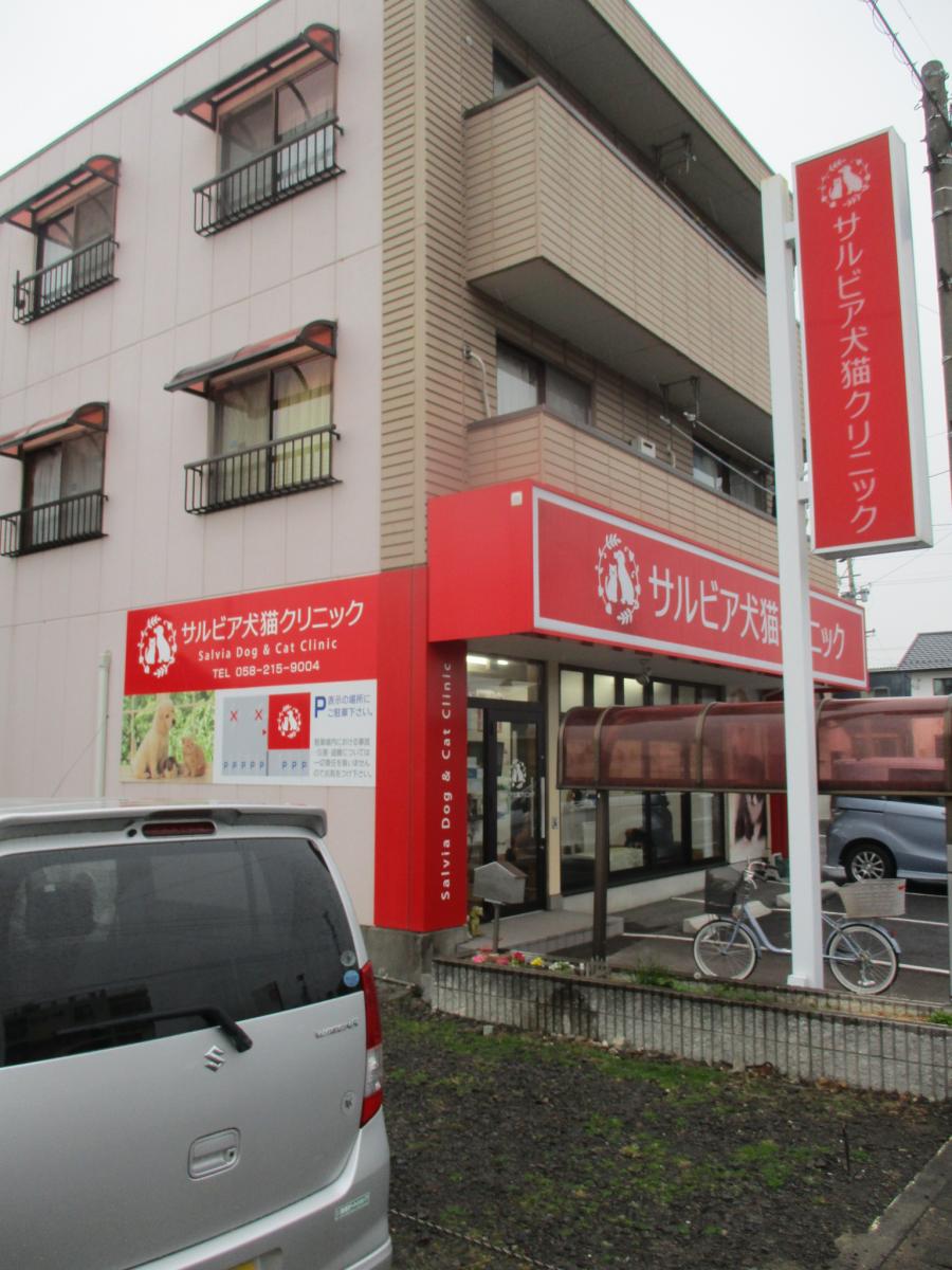 病院　サルビア犬猫クリニック（病院）まで1381m