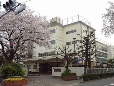 中学校　目黒区立第七中学校（中学校）まで475m
