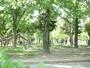 公園　本荘公園（公園）まで416m