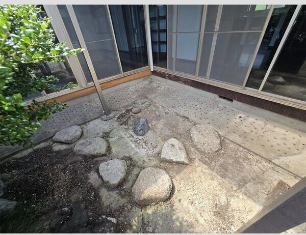庭