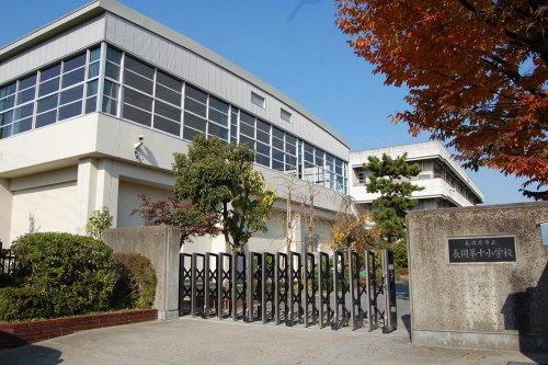小学校　長岡第十小学校（小学校）まで384m