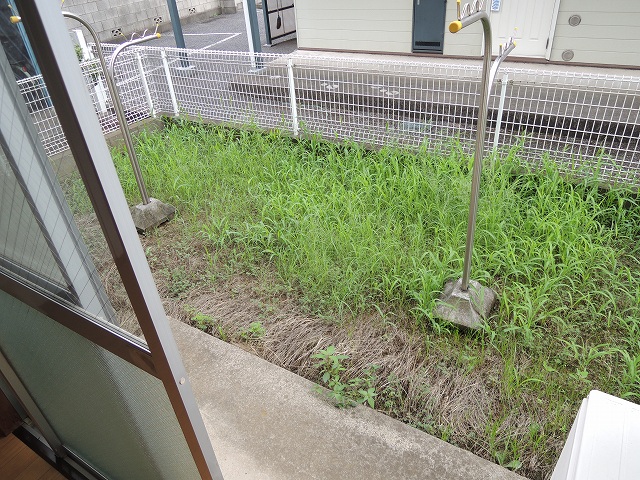庭