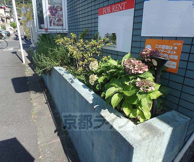 庭