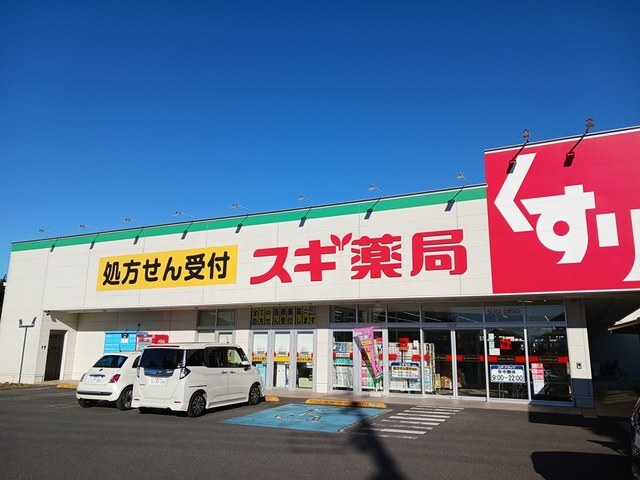 その他　スギ薬局野田下町店（その他）まで734m
