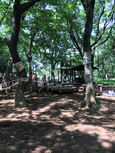 公園　子どもたちの森公園（公園）まで707m