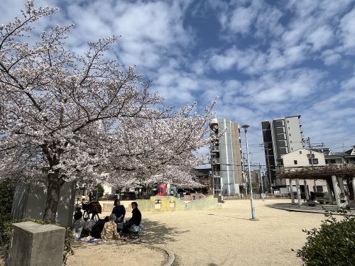 公園　桑津東公園（公園）まで352m