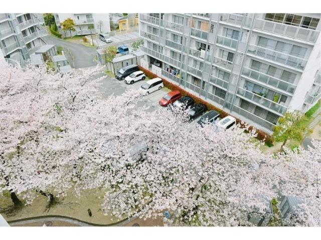 その他共有部分　桜の季節は一段と魅力的。