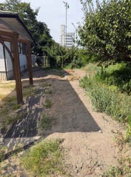 庭