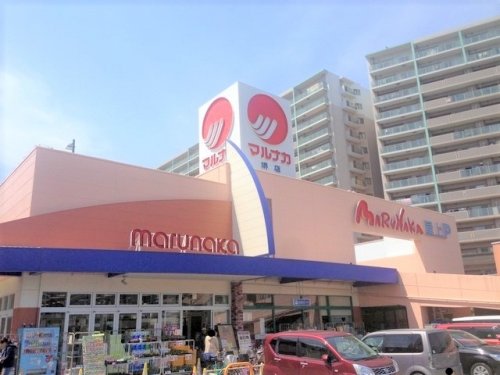 スーパー　マルナカ堺店（スーパー）まで227m