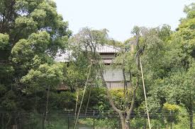 公園　荻外荘公園（公園）まで860m