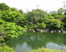 公園　目白庭園（公園）まで447m