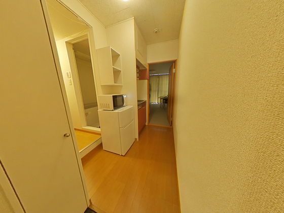 玄関　※別号室の写真です