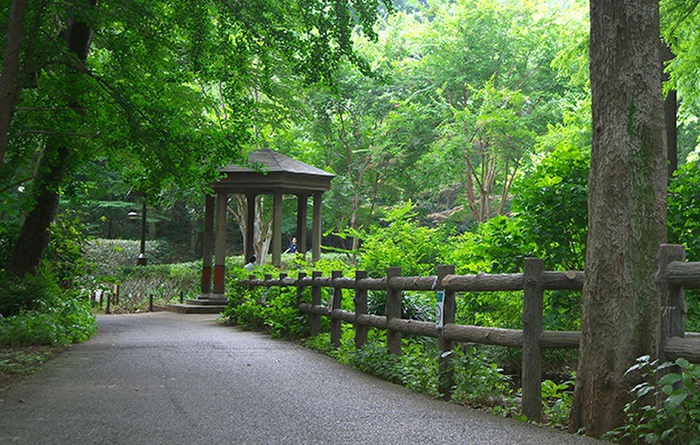 公園　林試の森公園（公園）まで650m