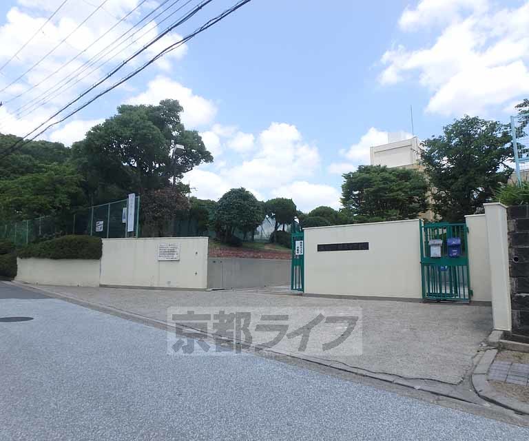 中学校　枚方市立楠葉中学校（中学校）まで1100m