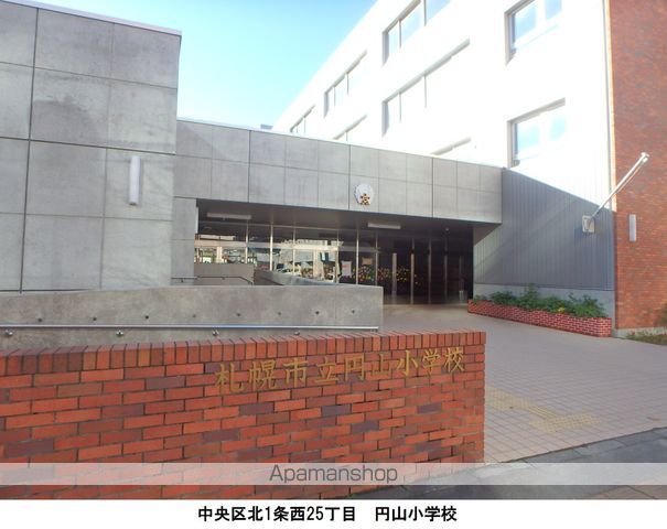 小学校　円山小学校（小学校）まで317m
