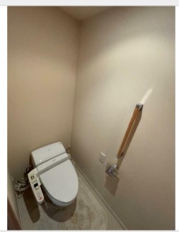 トイレ　別タイプ部屋　参考写真です