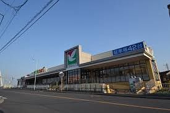 スーパー　ヨークマート青戸店（スーパー）まで721m