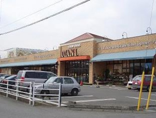 スーパー　フードオアシスOTANI平松店（スーパー）まで582m