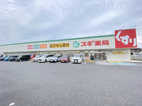 ドラックストア　スギ薬局玉垣店（ドラッグストア）まで869m