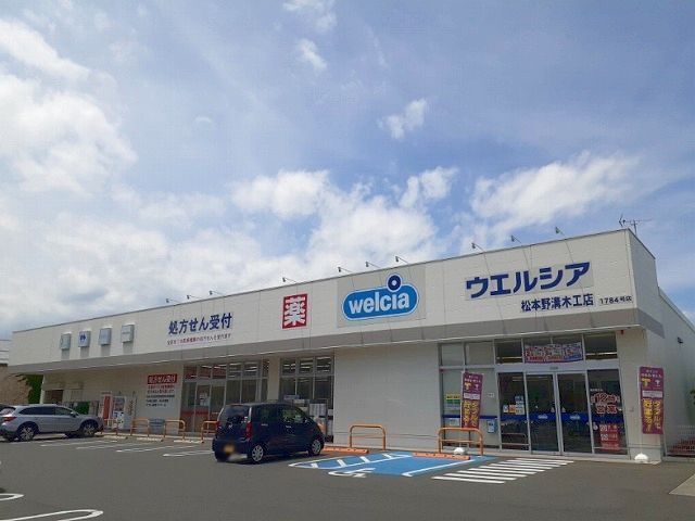 ドラックストア　ウエルシア　野溝木工店（ドラッグストア）まで600m
