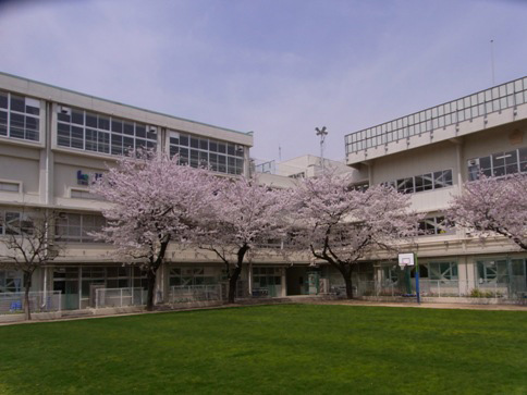 小学校　江東区立八名川小学校（小学校）まで301m