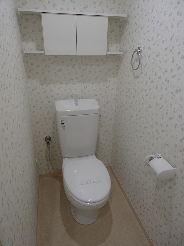 エピナールのトイレ写真