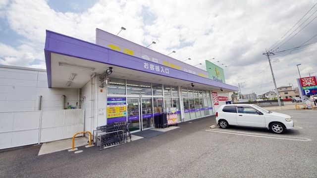 ドラックストア　ウェルパーク川越南大塚東店（ドラッグストア）まで829m