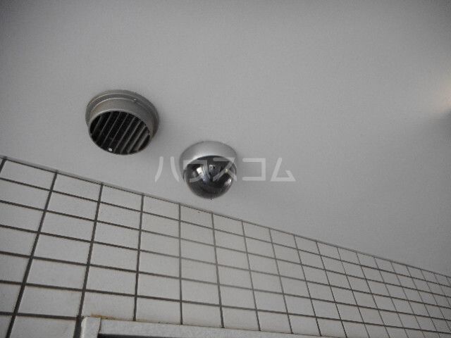 サウスアルカディアのその他写真