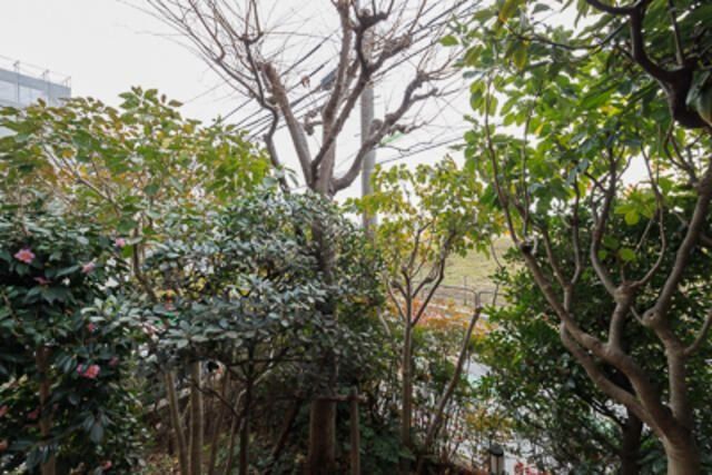 プレール玉川のその他写真