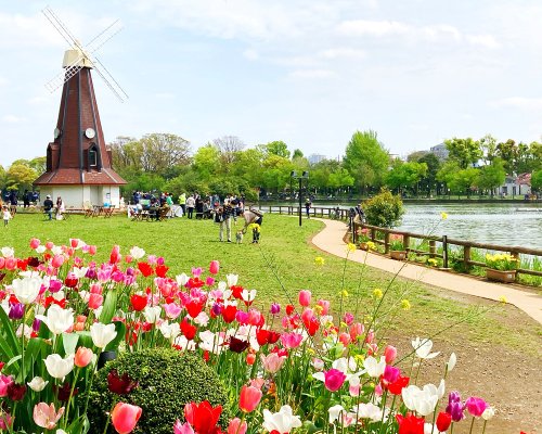 公園　浮間公園（公園）まで1361m