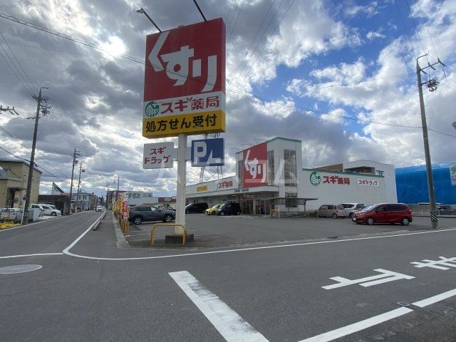 ドラックストア　スギドラッグ 大樹寺店（ドラッグストア）まで1355m