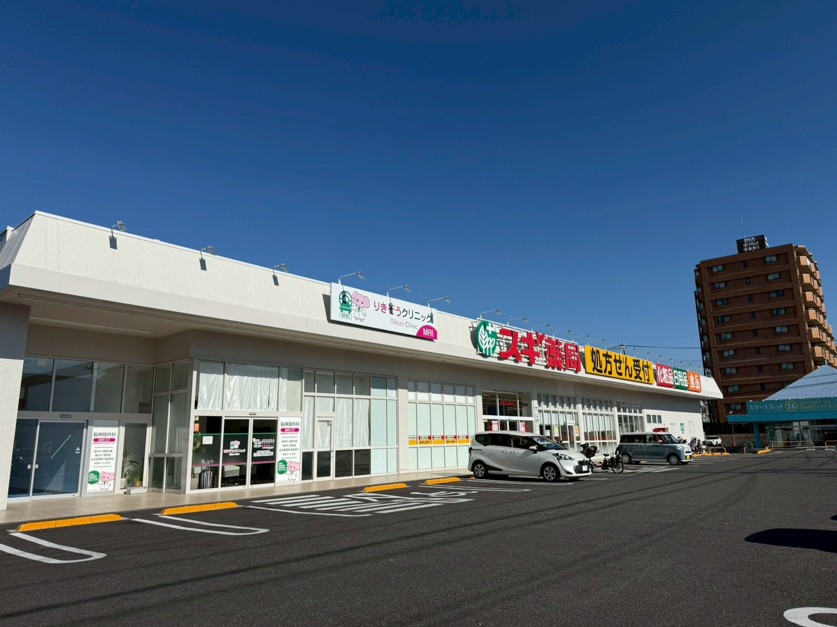 ドラックストア　スギ薬局南元宿店（ドラッグストア）まで207m