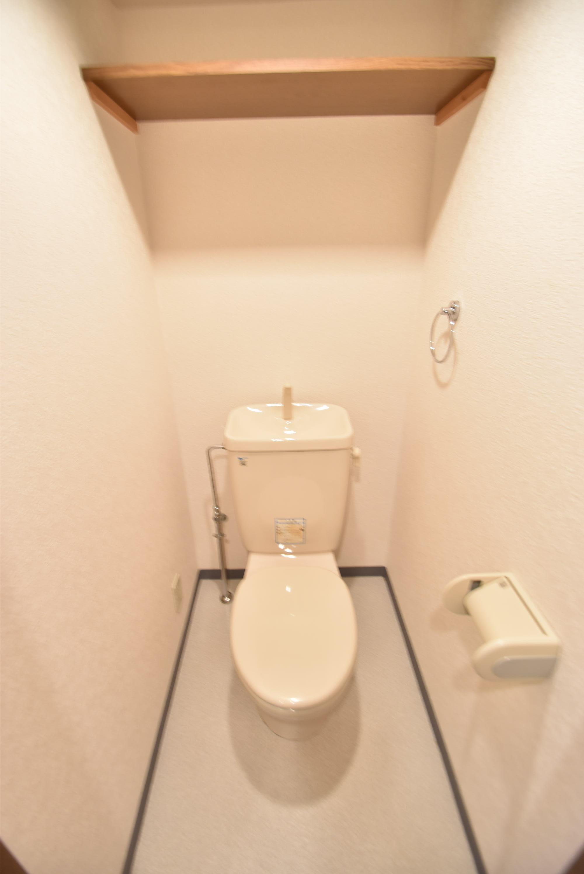 ＪＲ東西線 大阪城北詰駅 徒歩2分 10階建 築29年のトイレ写真
