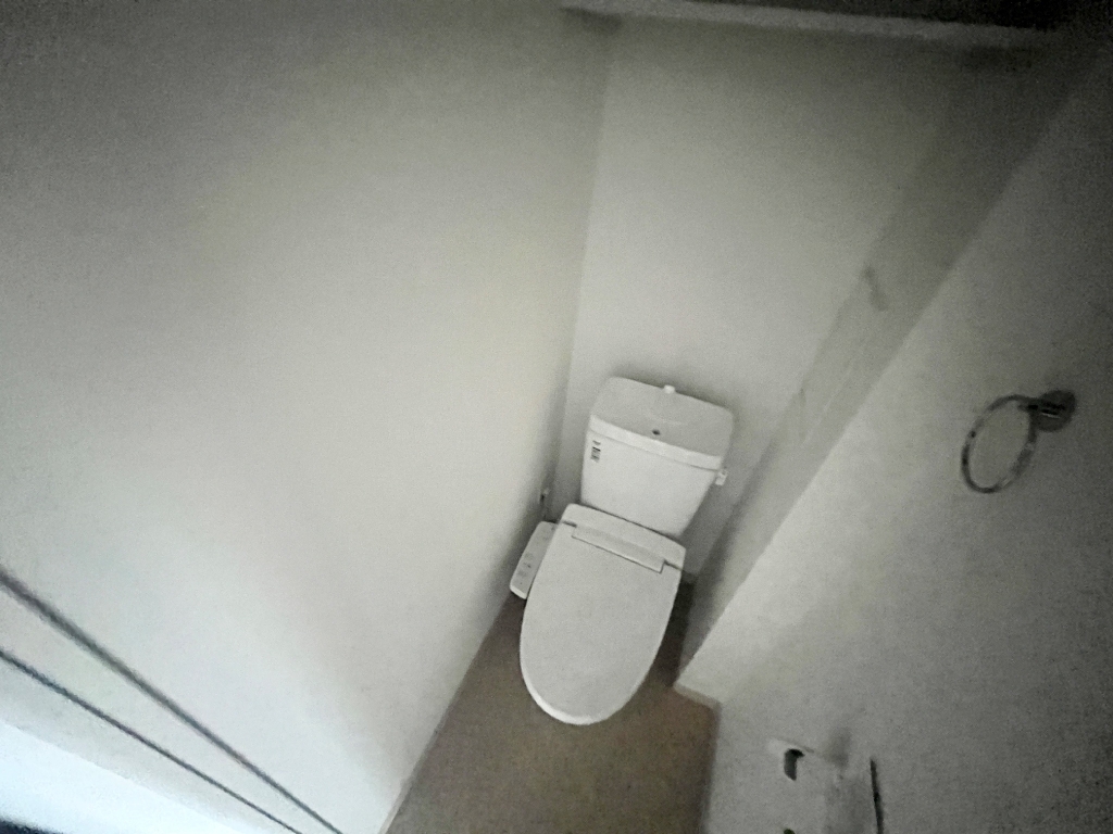LUXE塚口のトイレ写真