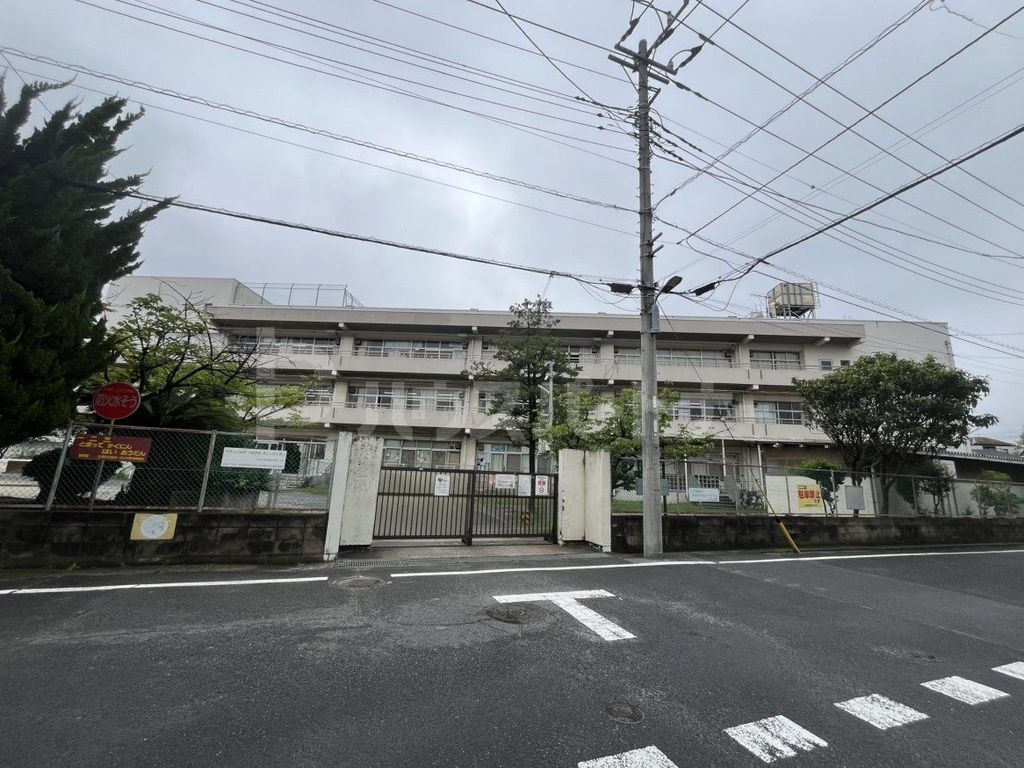 小学校　市川市立南行徳小学校（小学校）まで590m