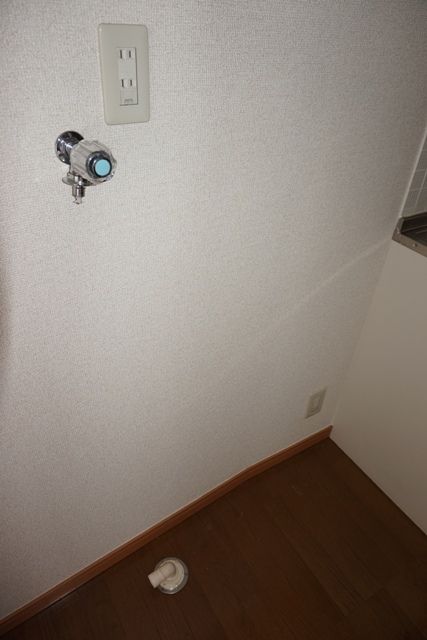 ホワイトウェーブのその他写真