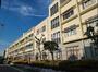 小学校　世田谷区立桜町小学校（小学校）まで897m