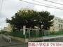 小学校　酉島小学校（小学校）まで610m