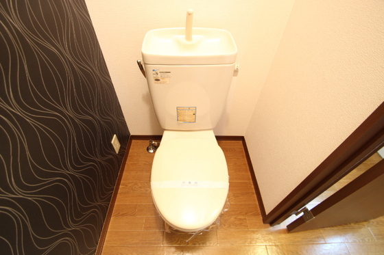 メゾン中筋IIのトイレ写真