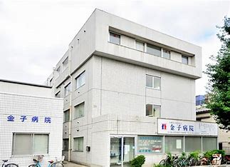 病院　医療法人社団和好会金子病院（病院）まで172m