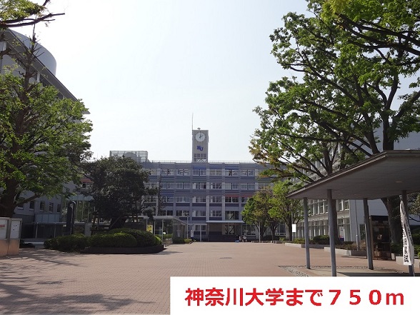 大学・短大　神奈川大学（大学・短大）まで750m
