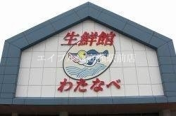 スーパー　わたなべ生鮮館柳川いちば店（スーパー）まで277m