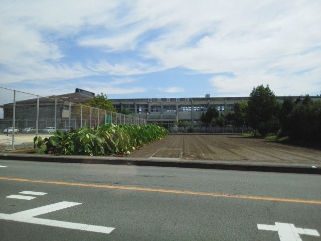 【熊本市南区八分字町のアパートの中学校】