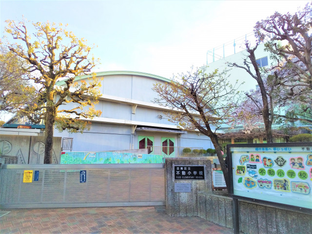 小学校　目黒区立不動小学校（小学校）まで200m