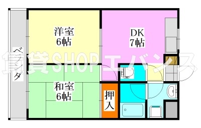 メゾンドール三代川の間取り