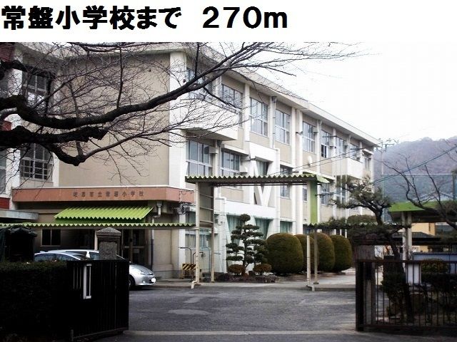 小学校　岐阜市立常盤小学校（小学校）まで270m