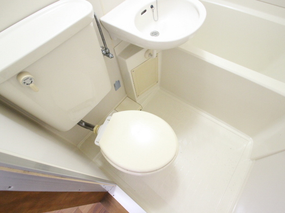 トイレ　※別号室の写真です