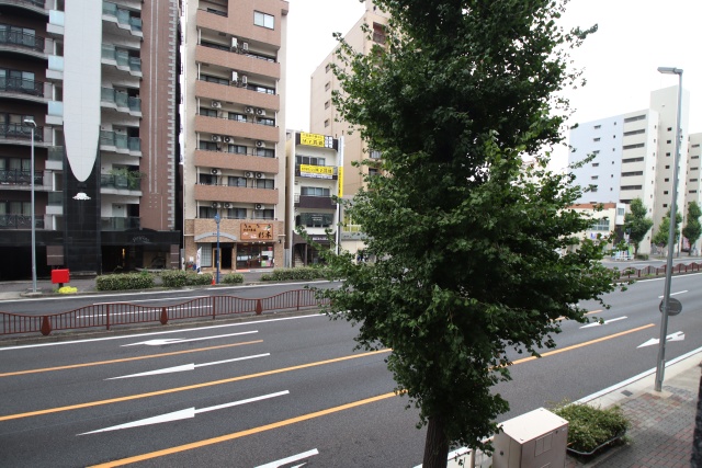 眺望　※別室の参考写真の為、現況優先です。