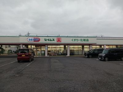 ドラックストア　ドラッグセイムス元総社店（ドラッグストア）まで1500m