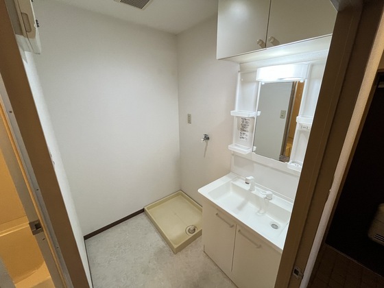 洗面設備　※別号室の写真です